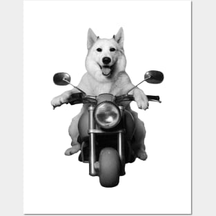 Biker Dog on Motorcycle Posters and Art